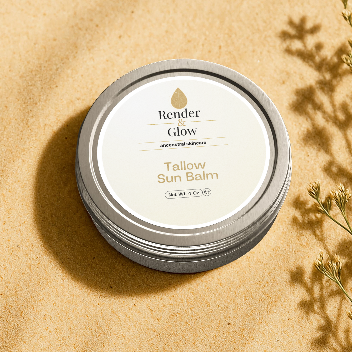 A tin of Render & Glow Tallow Sun Balm sits on sand beside dried plants.