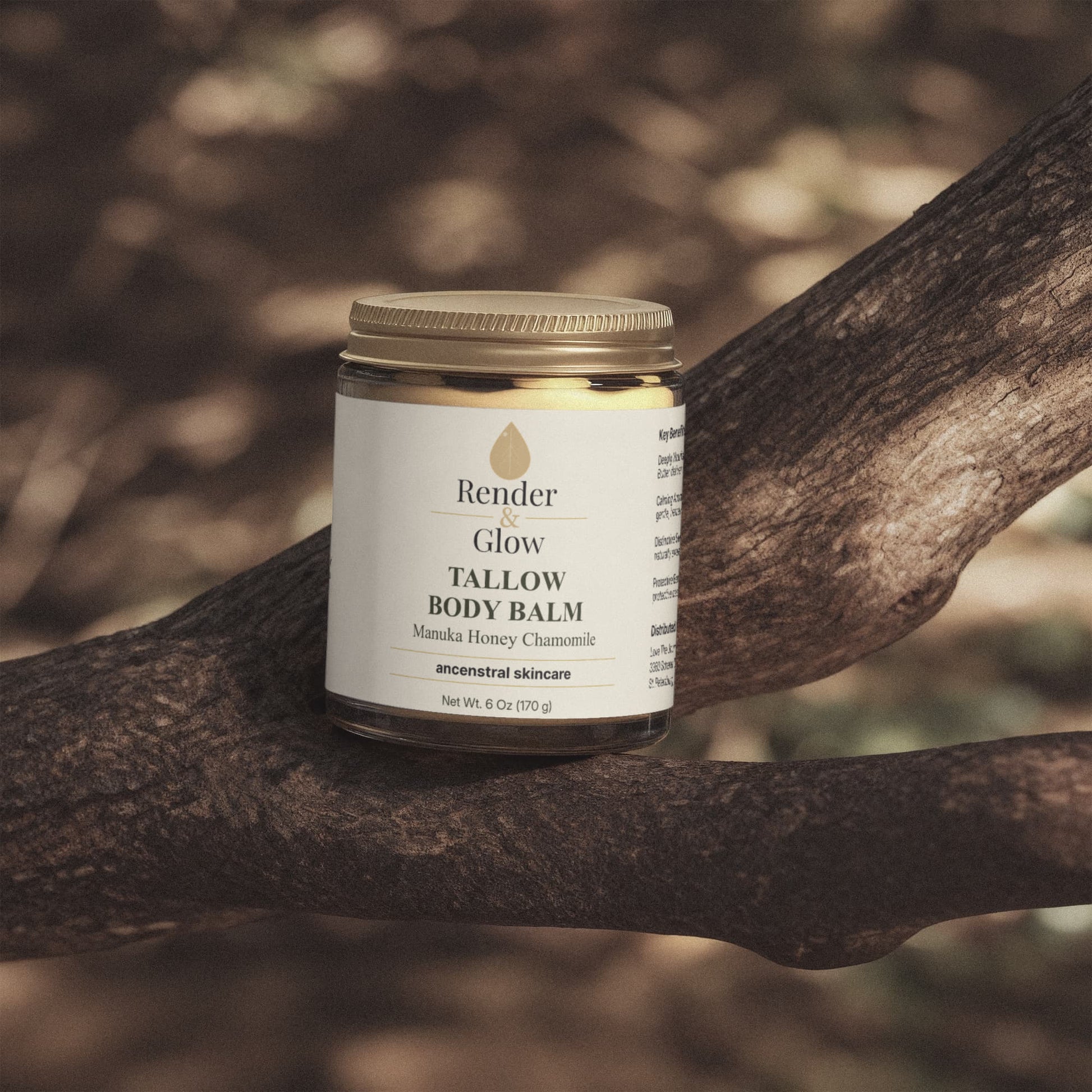 A jar of Render & Glow Tallow Body Balm with grass-finished beef tallow sits on a sunlit tree branch.